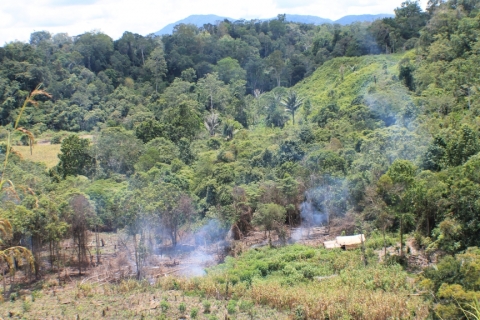 Encroachment and Illegal Logging